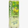 24er-Box mit 3er-Tubes Tennisbälle Stage 1 Green