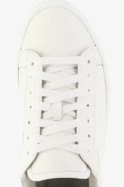Niedrige Schnürsneakers aus genarbtem Leder Dalila